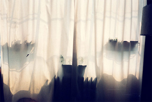 photographer luke gilford