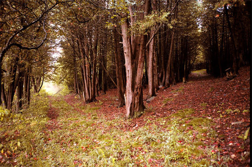 photographer luke gilford