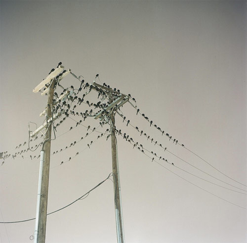 mando alvarez photographer photography