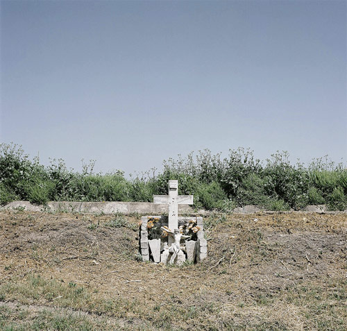 mando alvarez photographer photography