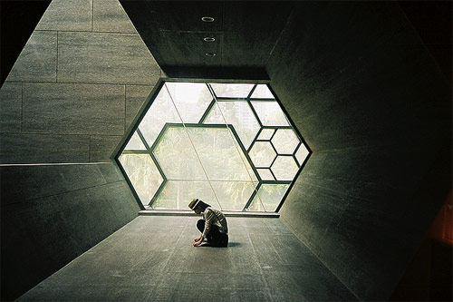 photographer photography tang chan