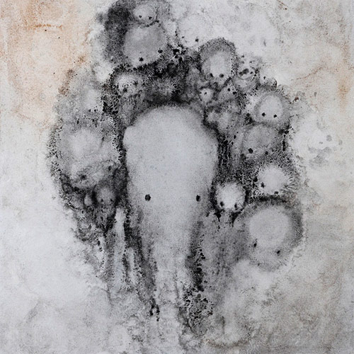 Artist painter Valeria Maggiani
