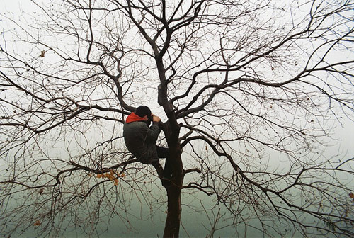 Photographer Yuan Xiaopeng photography