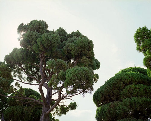 photographer photography se young