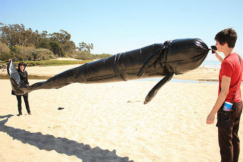 Garbage bag air whale by Matt Jones
