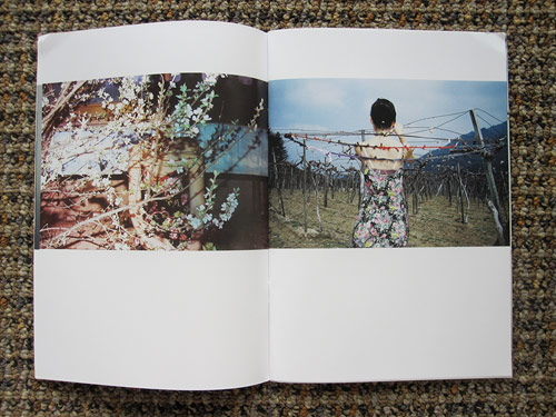 hasisi park pogobooks photographer photography