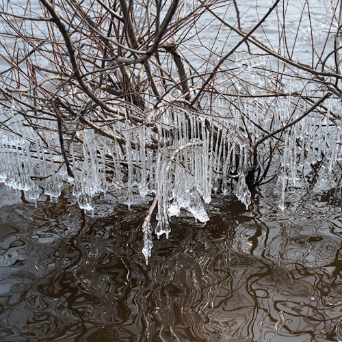photographer photography herve demers