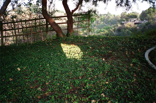 photographer photography ian stanton