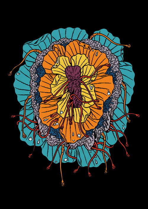 illustration illustrator kristian hammerstad