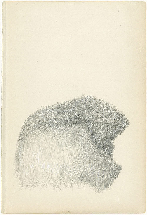 todd freeman artist drawing etching