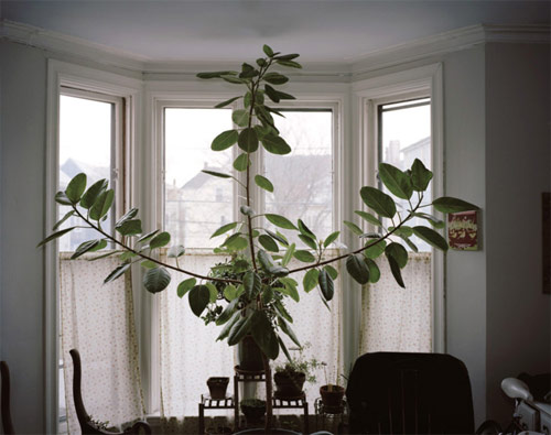 photographer photography santiago mostyn