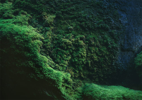 photographer photography timo klos
