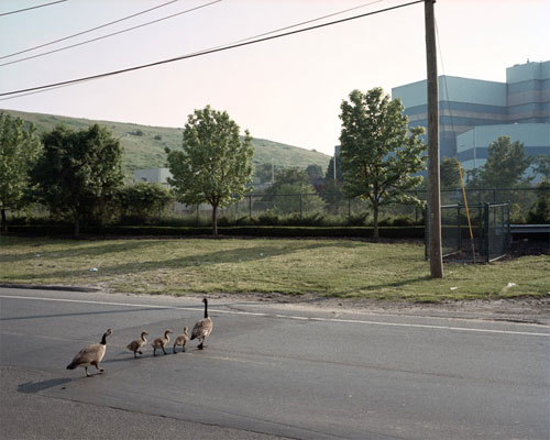 photographer photography raoul gatepin