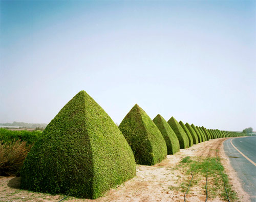 dubailand photographer photography aleix plademunt