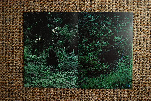 Cabin & Woods by Coley Brown and Cristiano Guerri