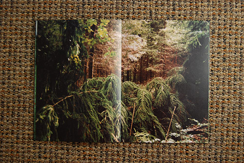 Cabin & Woods by Coley Brown and Cristiano Guerri