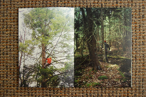 Cabin & Woods by Coley Brown and Cristiano Guerri