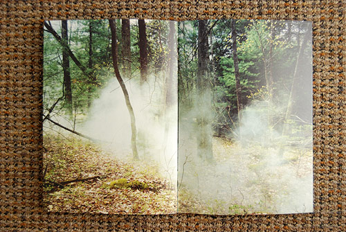 Cabin & Woods by Coley Brown and Cristiano Guerri