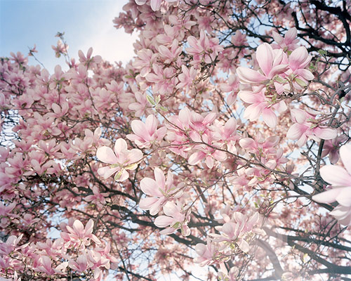 photographer photography casey mcgonagle