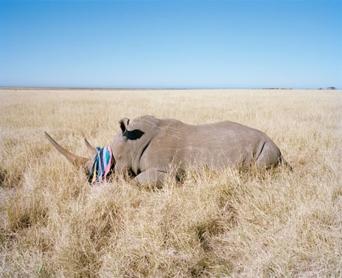 photographer photography david chancellor