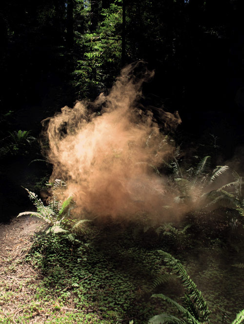 photographer photography delaney allen