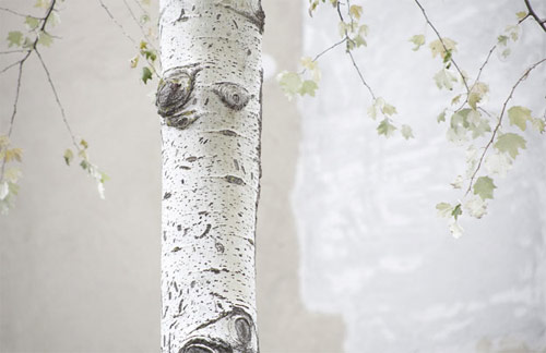 photographer martien mulder photography