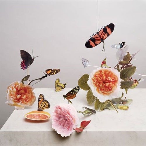 photographer photography art Maurice Scheltens and visual artist Liesbeth Abbenes