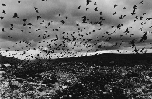 photographer photography Jordis Antonia Schlösser living on a dump romania