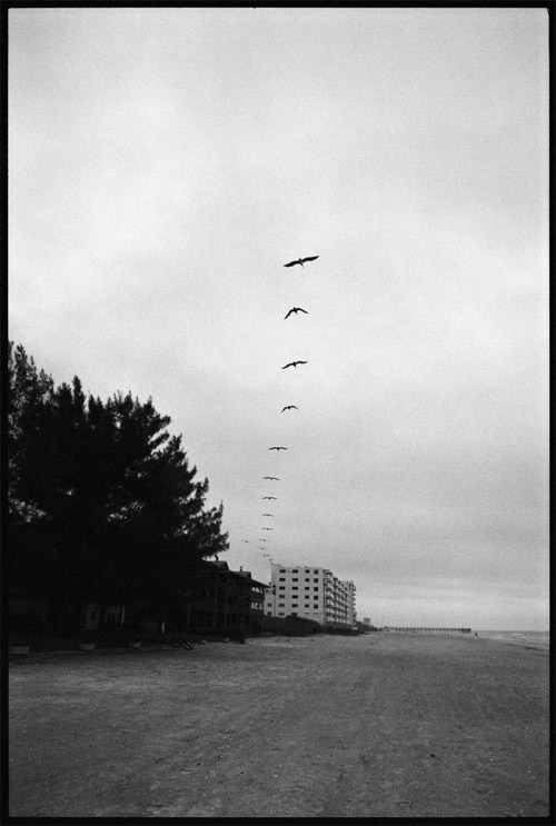 photographer photography uri maximilian korn