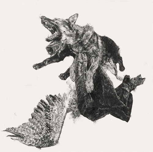 drawings by amanda nedham like milk and blood