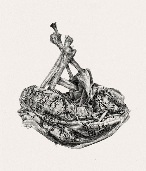 drawings by amanda nedham like milk and blood