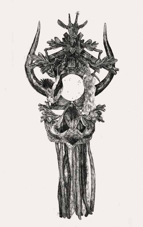 drawings by amanda nedham like milk and blood