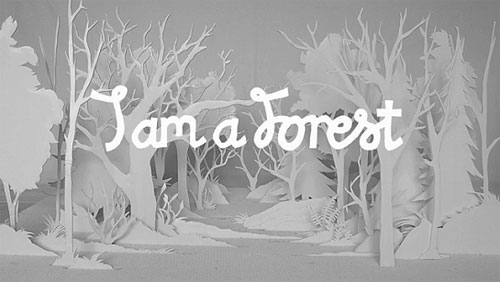 i am a forest stop motion animation alex schulz