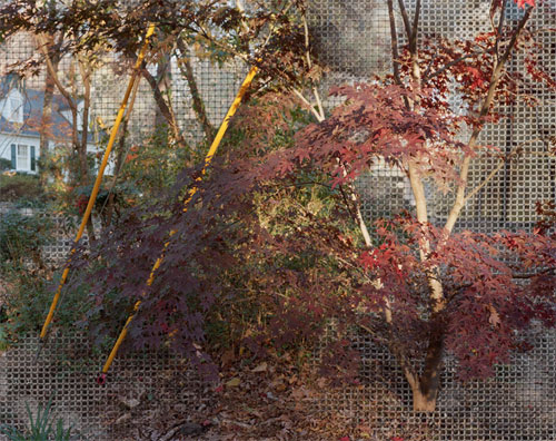 photographer photography lydia anne mccarthy