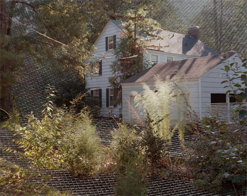 photographer photography lydia anne mccarthy