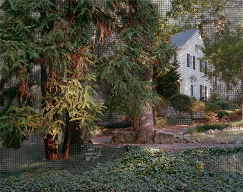 photographer photography lydia anne mccarthy