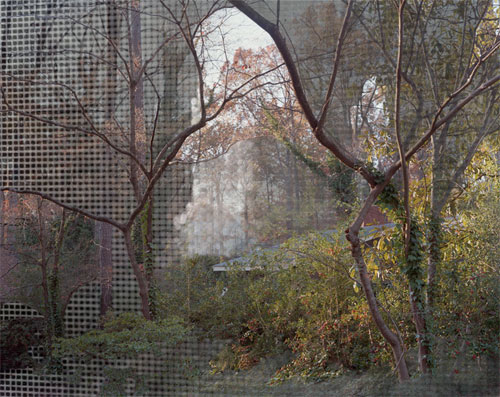 photographer photography lydia anne mccarthy