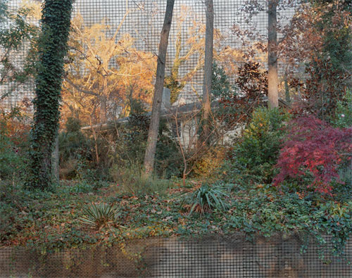 photographer photography lydia anne mccarthy