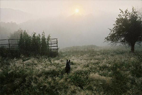 photographer photography pepa hristova