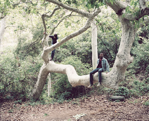 photographer photography richard choi