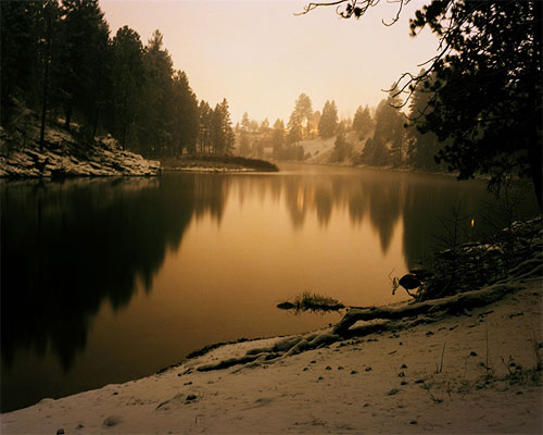 photographer photography shawn gust