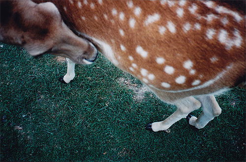photographer ulrike biets photography