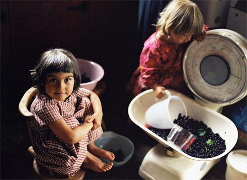 photographer photography venetia dearden