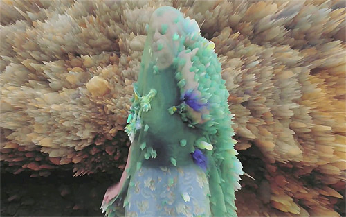 nite jewel we want our things music video