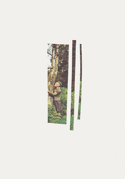 collage artist phaedra longhurst
