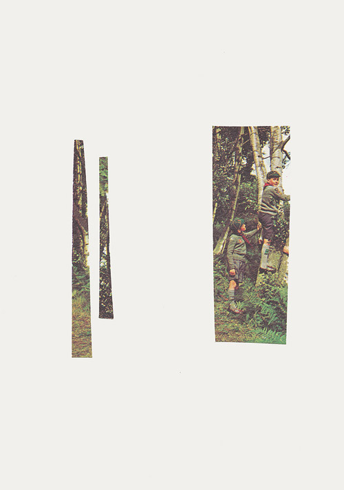 collage artist phaedra longhurst