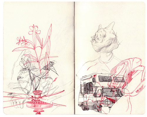 sketches drawings illustrations illustrator cam floyd