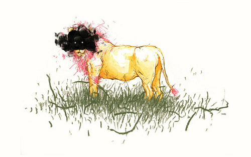 artist jesse fillingham drawings