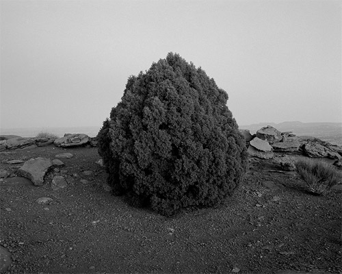 michael d lundgren photographer photography