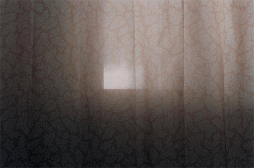 photographer photography elinor carucci